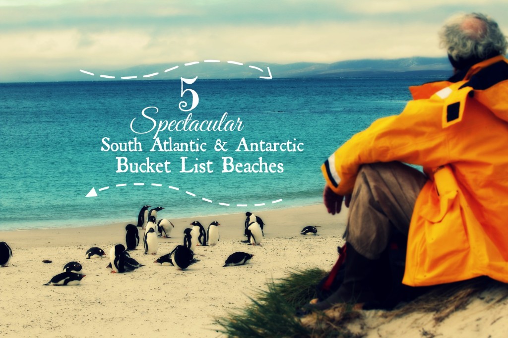 5 Spectacular South Atlantic and Antarctic Bucket List Beaches