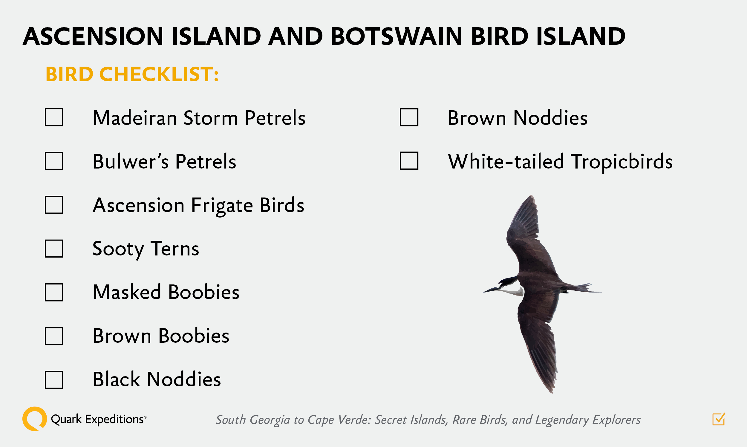 Ascension Island Birding Checklist Graphic