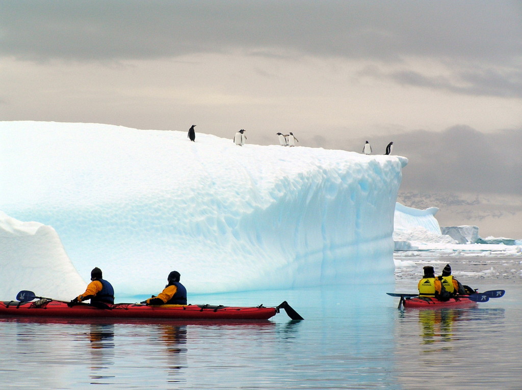 Kayaking in Danco Harbour Antarctica
