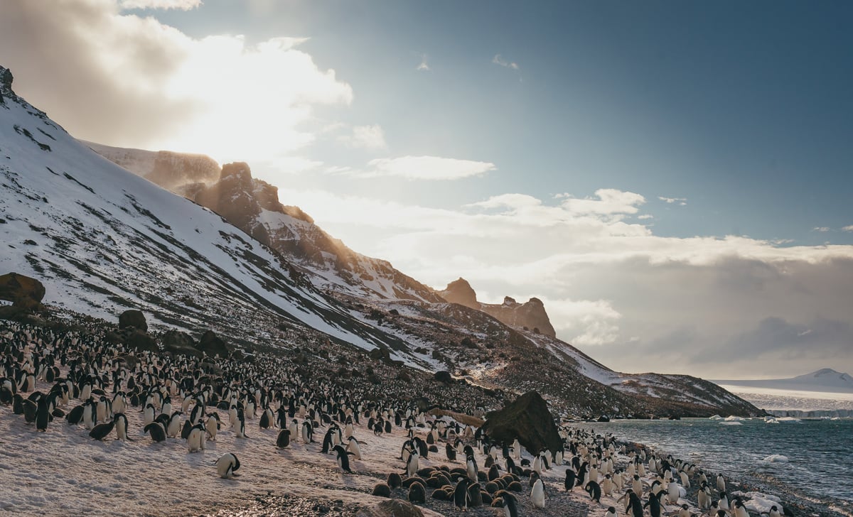 Brown Bluff, Antarctic Peninsula - Photo Credit: Dave Merron