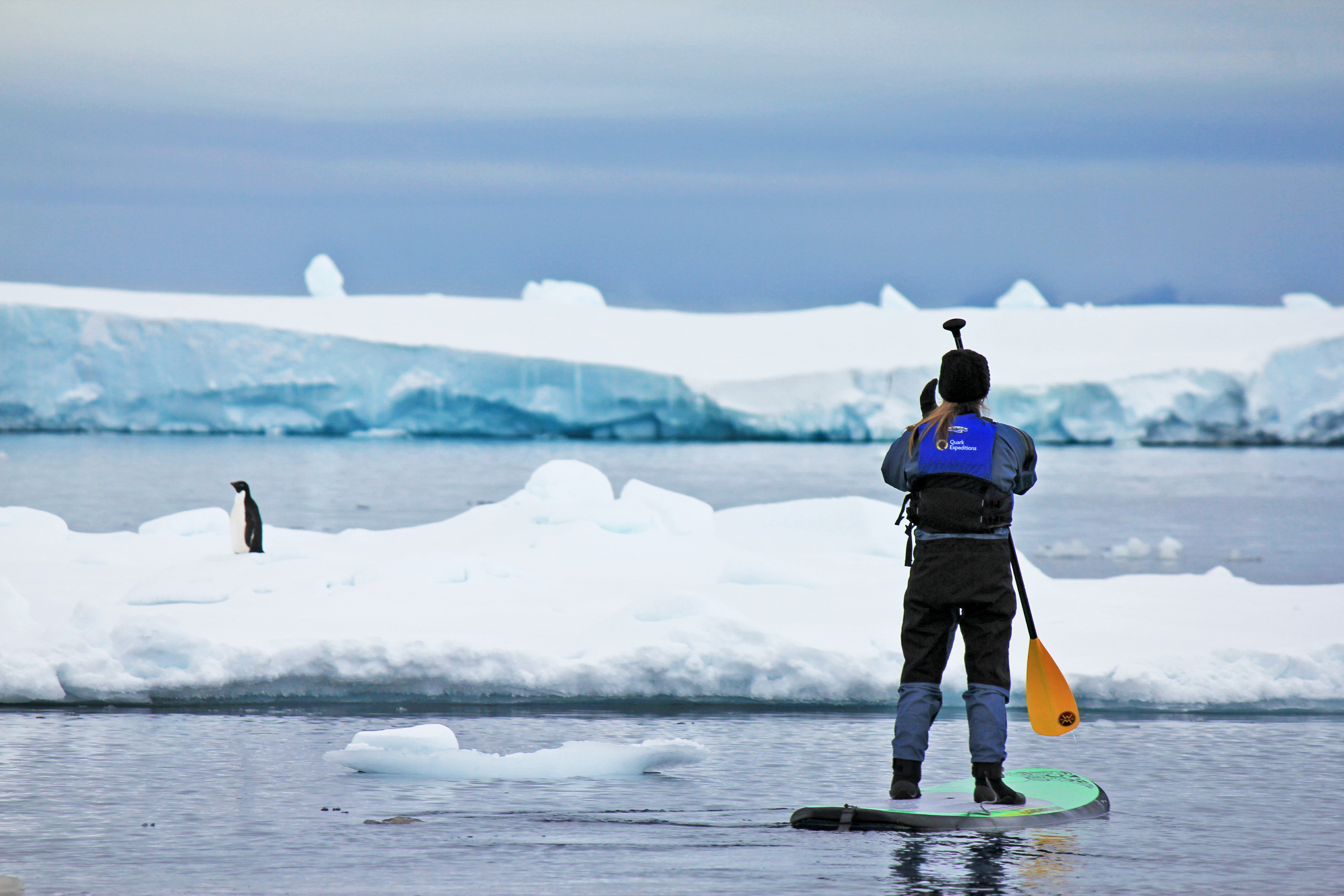 Passenger pictured paddleboarding in Antarctica