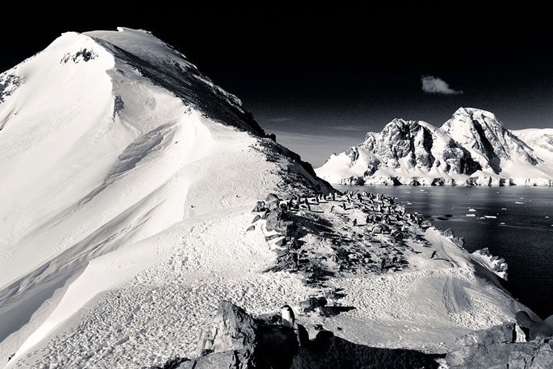 Antarctica in black and white. Photo Credit: Samantha Crimmin