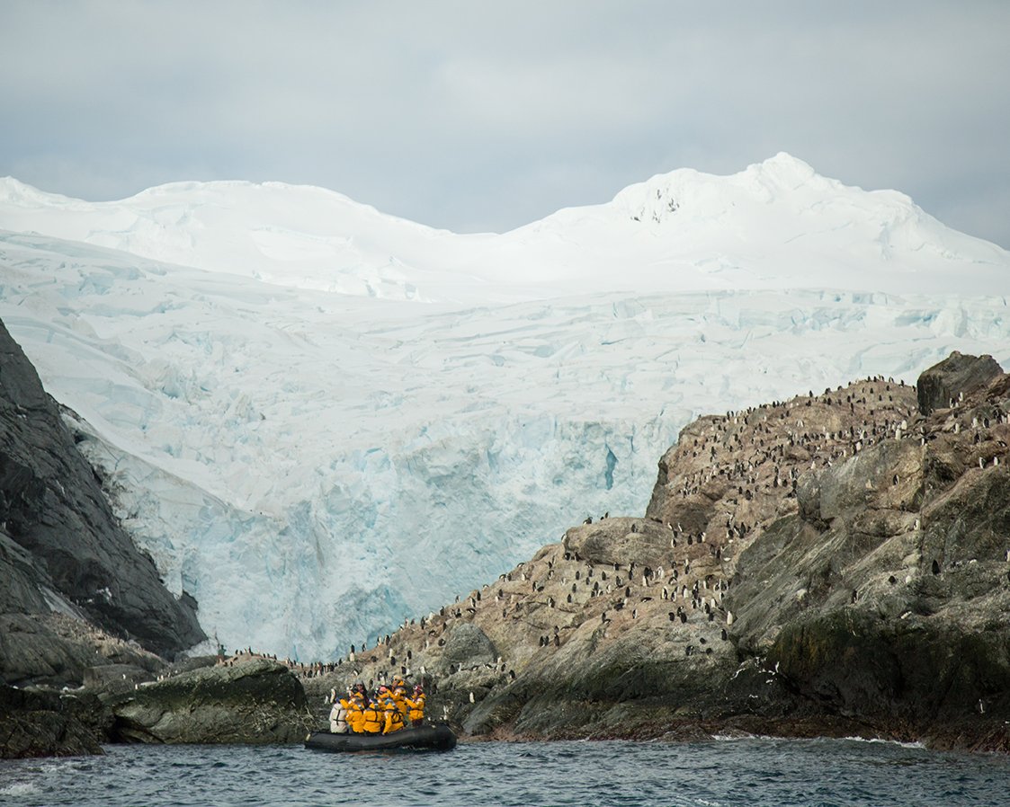 Quark Expeditions guests visit remote Elephant Island on a Zodiac excursion in South Georgia Island in the Antarctic.