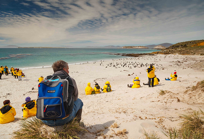 Falkland Islands - Credit: Dave Merron for Quark Expeditions