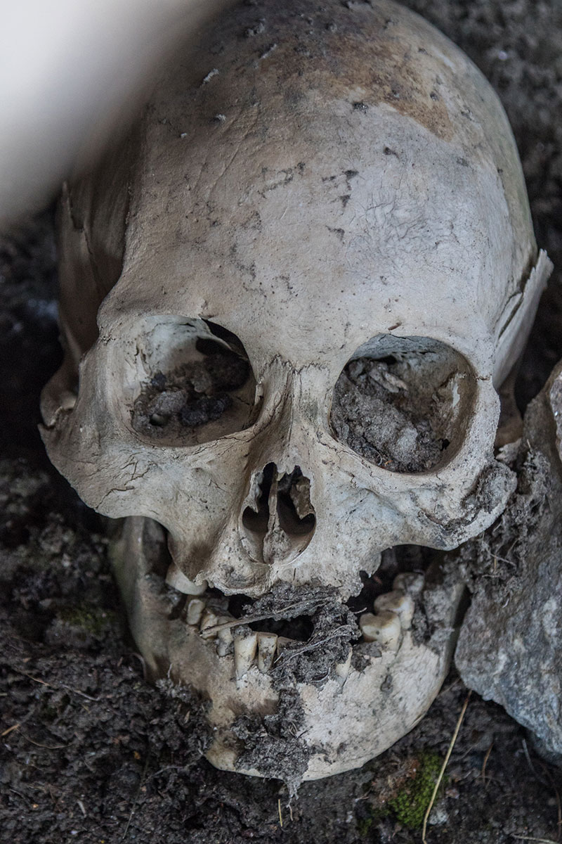 Ancient skulls found in Greenland - Photo credit: C. King